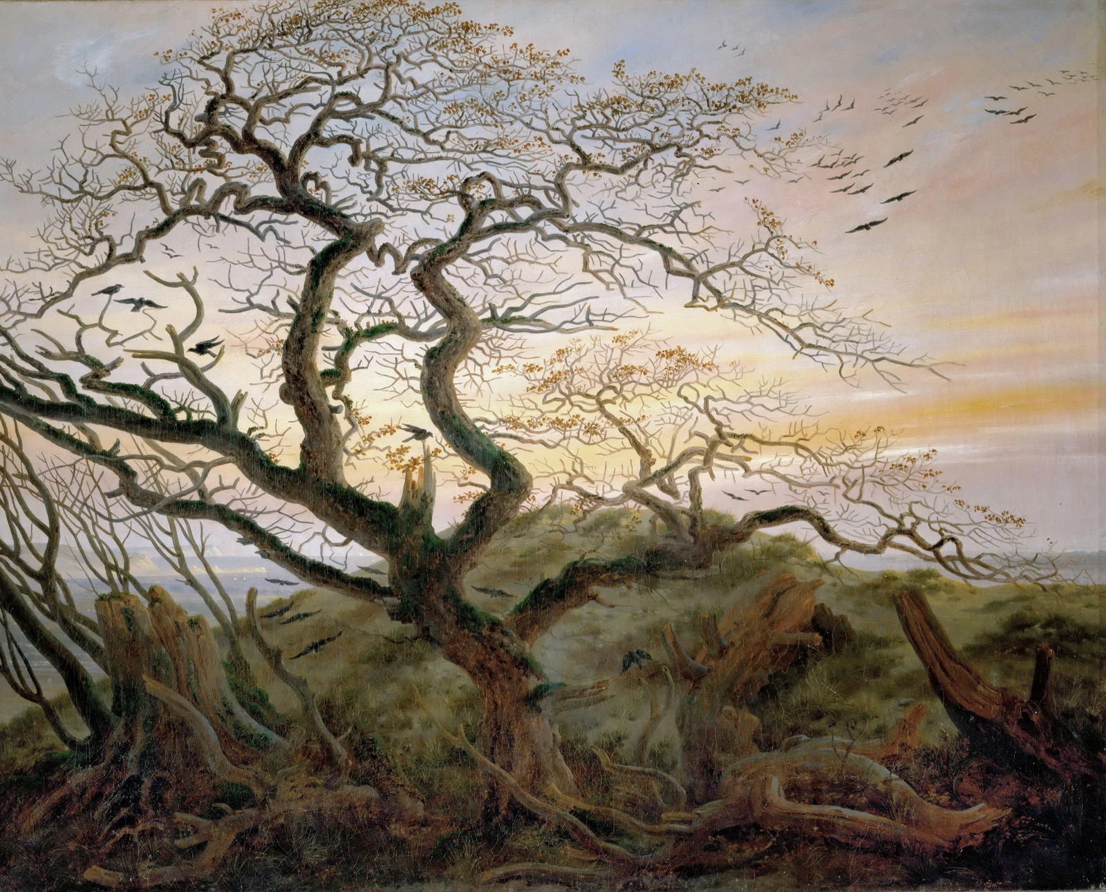 The Tree of Crows by Caspar David Friedrich: a twisted tree spreading its branches across a warm sky, with crows in flight